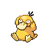 Psyduck