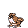 Pidgey