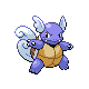 Wartortle