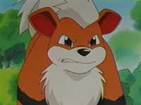 Growlithe enfadado.