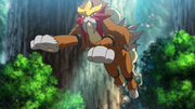 P20 Entei.png