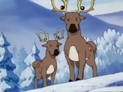 EP191 Stantler.jpg