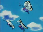 Imagen de varios Pokémon