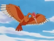 EP204 Fearow.jpg