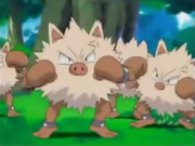 Imagen de Primeape