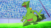 Imagen de Sceptile