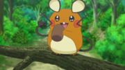 EP808 Dedenne.png