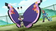 EP816 Vivillon.png