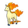 Rapidash