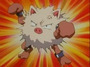 EP175 Primeape.jpg