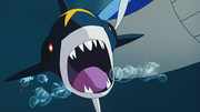 P07 Sharpedo.png