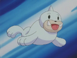 Seel