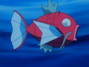 EP187 Magikarp.png