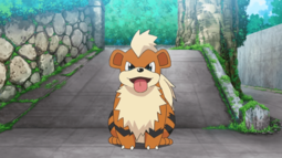 Growlithe de las oficiales Jenny/agentes Mara