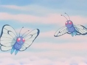 EP195 Butterfree.jpg