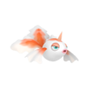 Goldeen