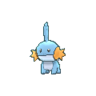 Mudkip