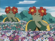 EP182 Bellossom.png