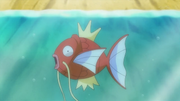 EP826 Magikarp.png