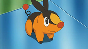 Tepig.