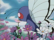 EP182 Butterfree.png