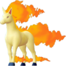 Rapidash