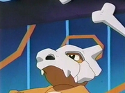 EP203 Cubone.png