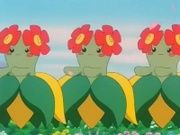 EP195 Bellossom.jpg