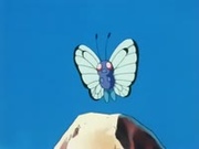 EP209 Butterfree.jpg