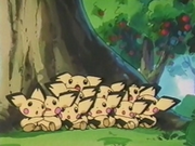 EP181 Pichu.png