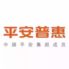 平安普惠投资咨询有限公司石家庄建华大街分公司