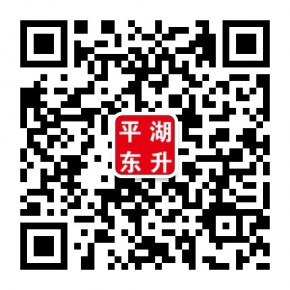 平湖东升汽车有限公司