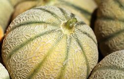 Ces melons vendus chez Metro pourraient contenir trop de pesticides