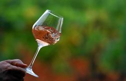 Existe-t-il vraiment une « saison » pour boire du rosé ?