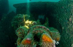 Scapa Flow, spot de plongée mythique pour ses bateaux de guerre allemands