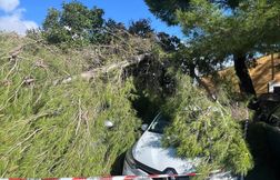 Nombreux dégâts après le passage d’une tornade à Frontignan