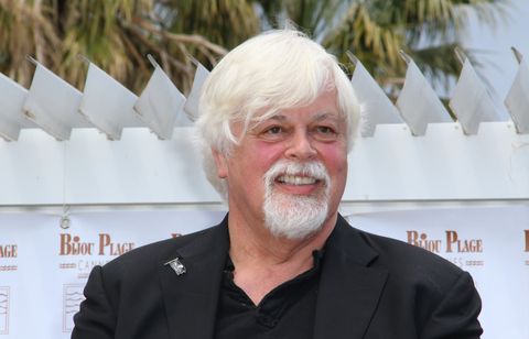 Le Japon demande l’extradition du militant anti-chasse Paul Watson