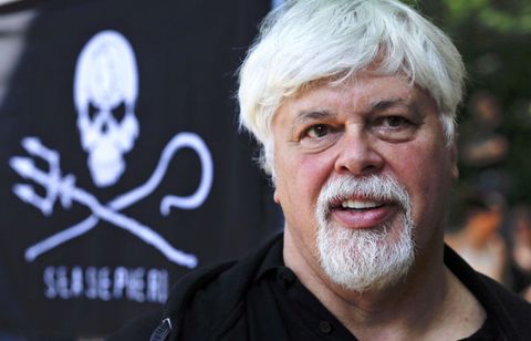 Pourquoi le Japon veut la peau du fondateur de Sea Shepherd Paul Watson ?