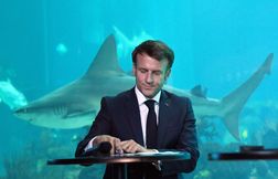 Plus de 50 ONG dénoncent l’inaction d’Emmanuel Macron sur les océans