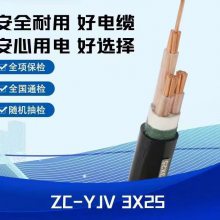 �㶫��ҵ������ԵͭоWDZBN-YJY3x35+2x16��������