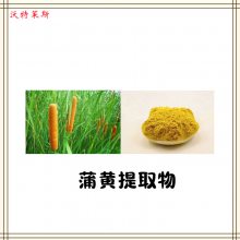 毛蜡烛提取物10：1 蒲黄提取物 浓缩粉 提取液 浸膏 多种规格 1kg起订 包邮