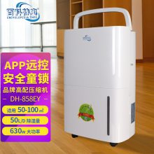 空气除湿机家用办公室用除湿机DH-858EY