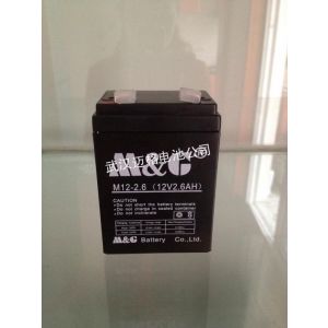 �人������Ӧ���������ſ�����ר��MG��12V2.6AH������