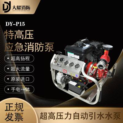 DY-P15�����ɭ������ˮ�� ����������̴������ظ�ѹӦ��������