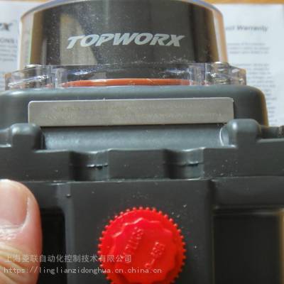 TOPWORX��λ����DXP-E20GSMSƷ�����������趨