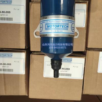 �ò�ʤ��12V190ȼ��������� ���� MOTORTECH��ѹ�� ��ѹ��Ȧ