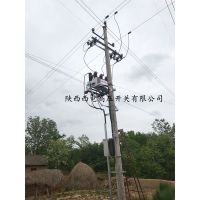 10kv����Ԥ������ն�·��