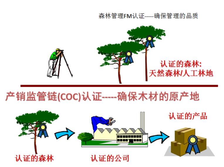 广州FSC认证东莞佛山森林管理体系认证咨询辅导培训申请FSC森林认证所需文件汇总申请流程