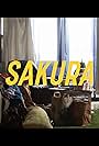 Sakura (2017)