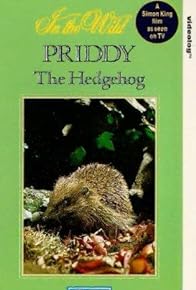 Primary photo for Priddy the Hedgehog